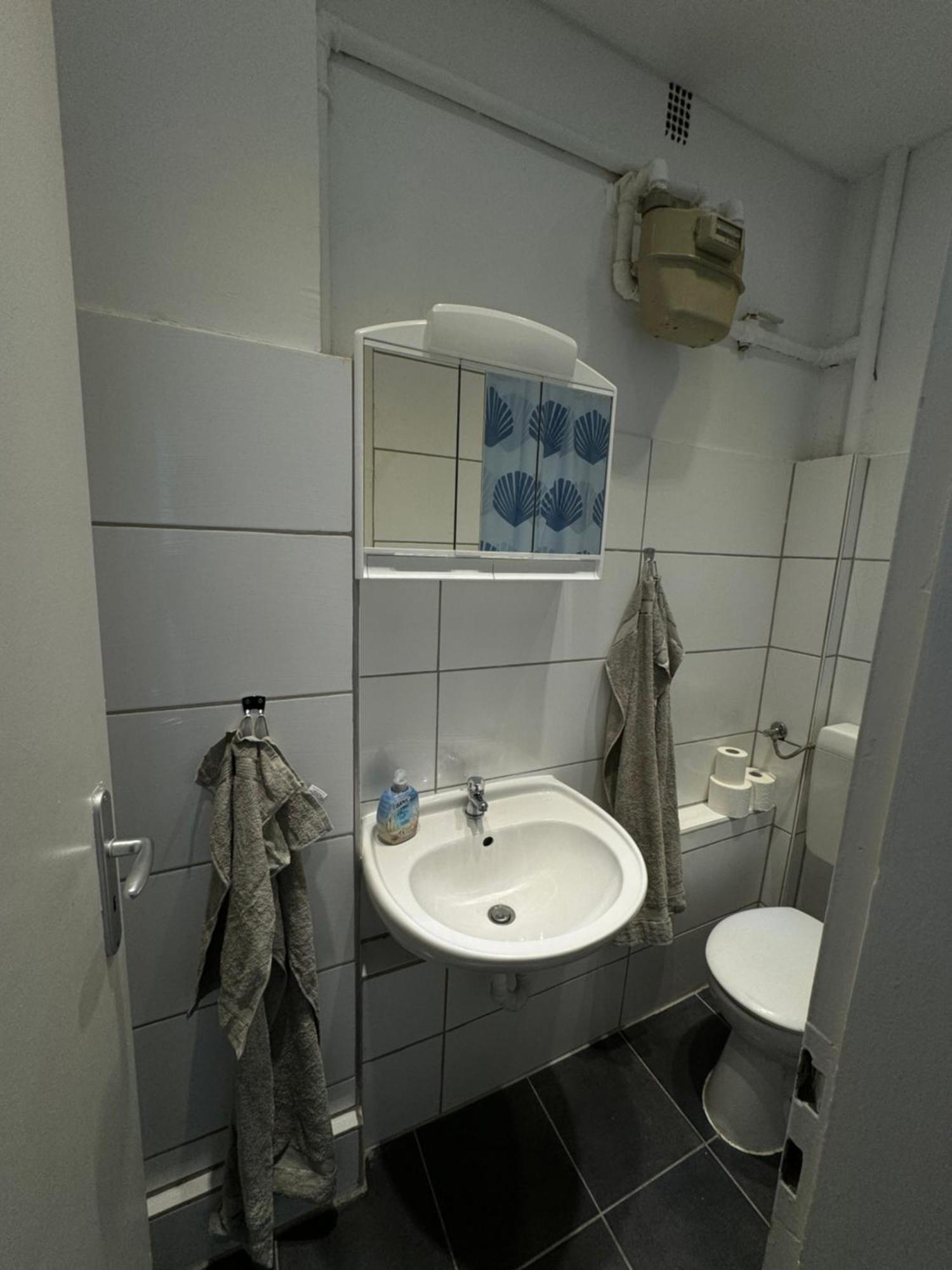 Appartement Zentrale 1-zimmer Wohnug In